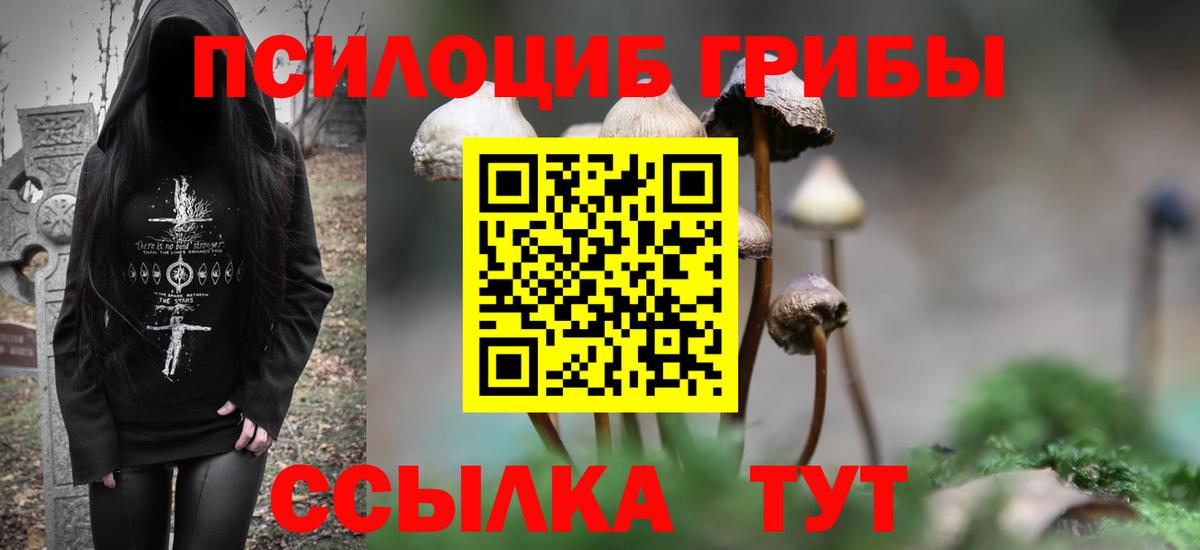 Псилоцибиновые грибы прущие грибы Партизанск